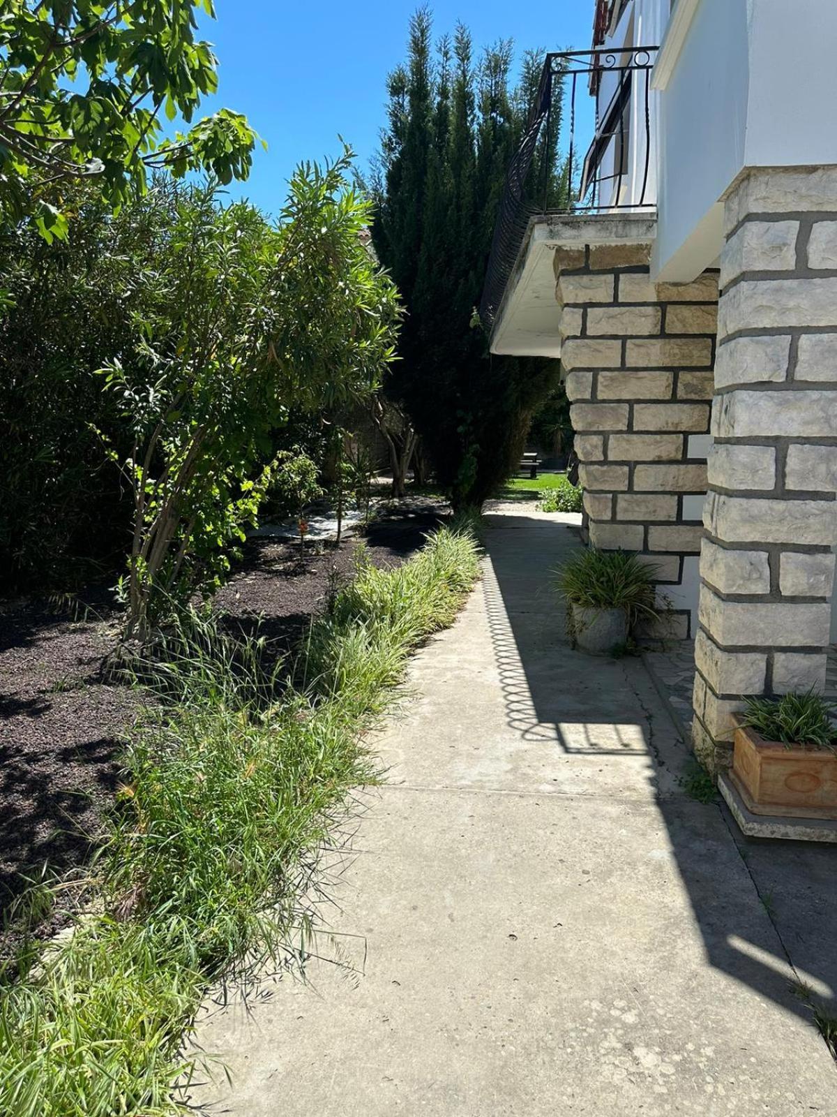 Appartement L'Olivier Arles Exterior photo